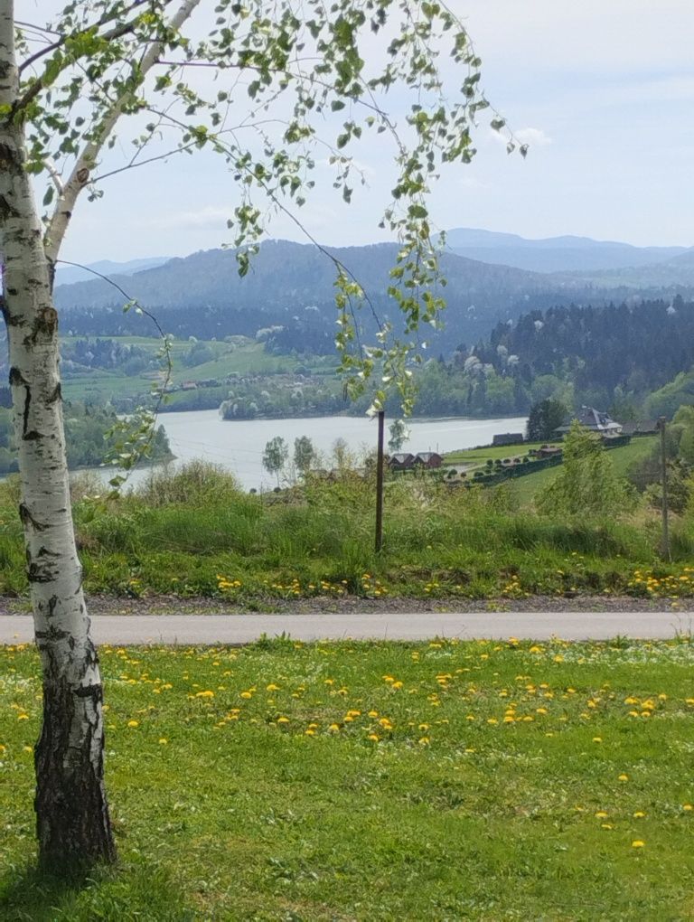 Bieszczady -Polańczyk domki i pokoje