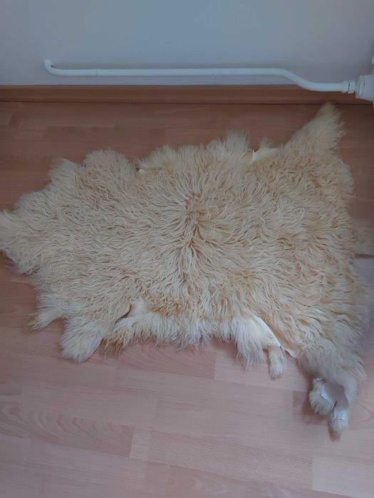 Skóra owcza biała