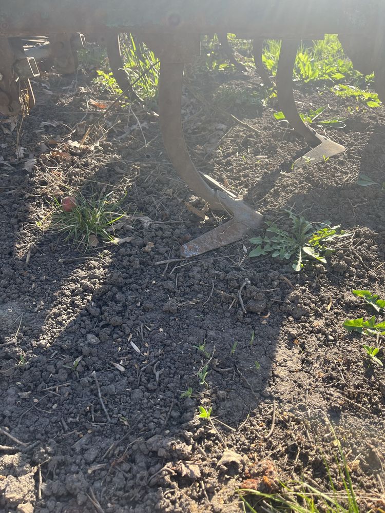 Продам культиватор