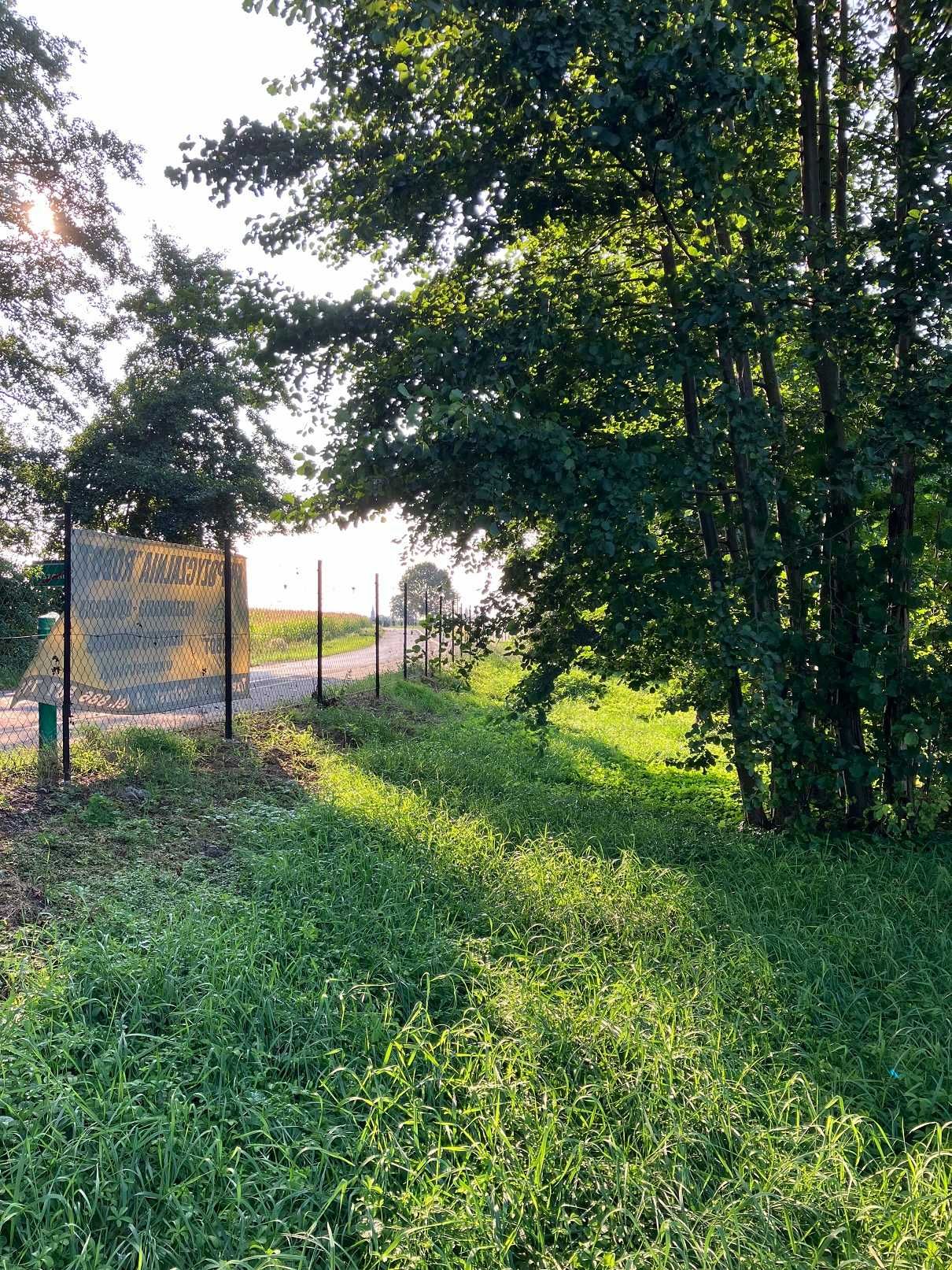 Działki budowlane 10a z warunkami zabudowy (Wszemirów k. Trzebnicy)