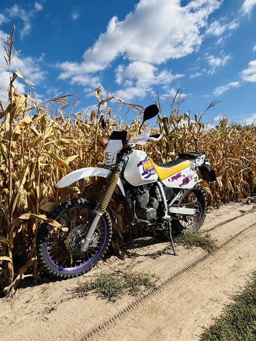 Suzuki djebel dr 250