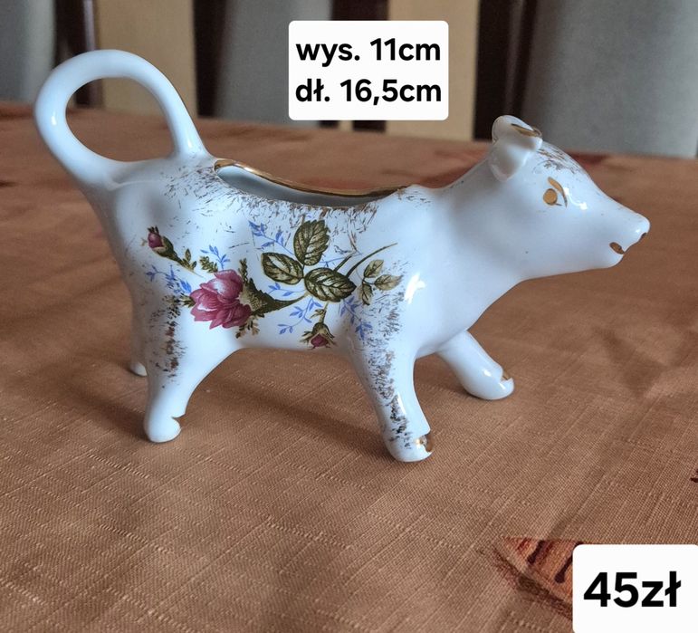 Mlecznik krówka Chodzież