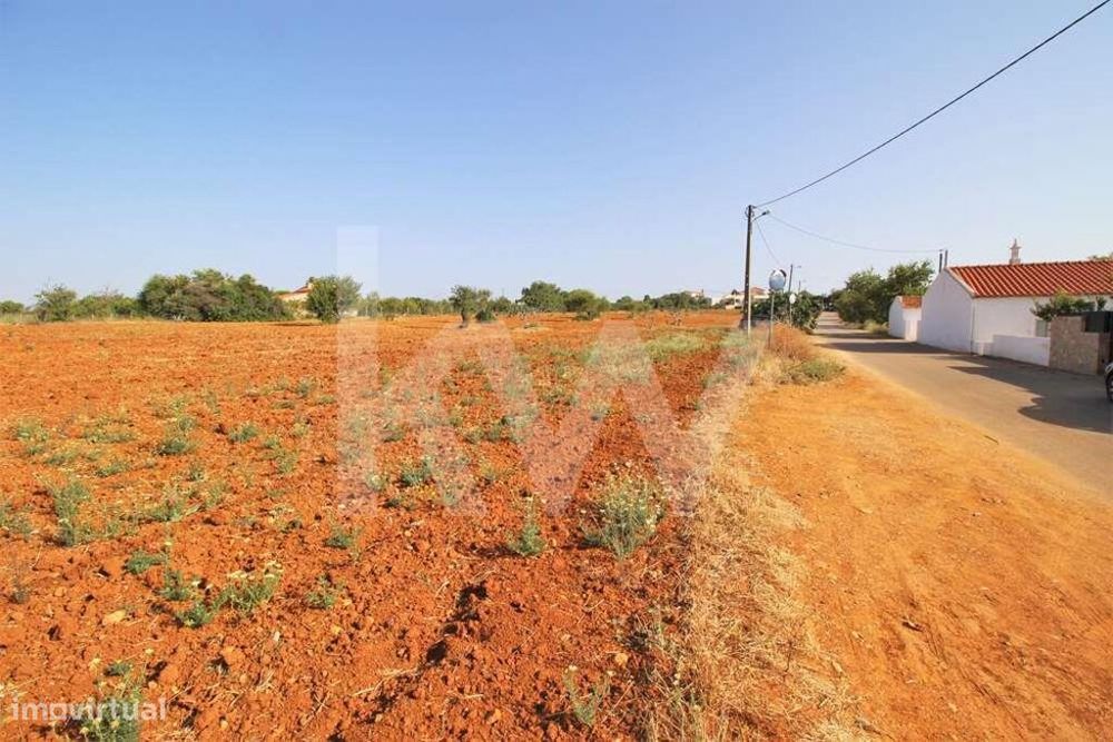 Terreno Completamente Plano, Fértil, Situado Na Guia, Albufeira, Algar