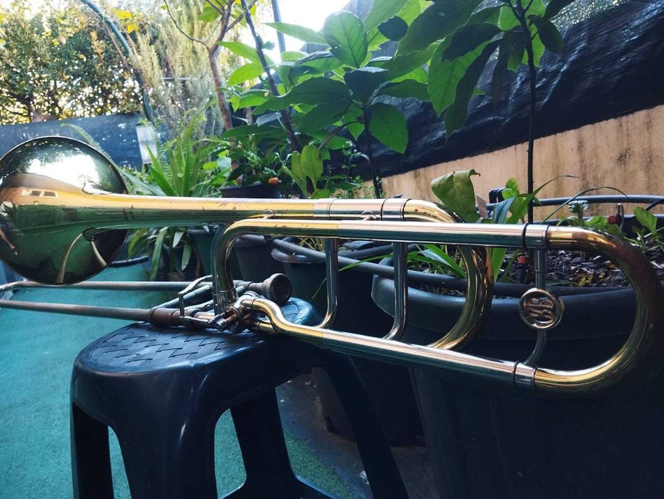 Trombone Tenor Roy Benson TT-242F Usado
