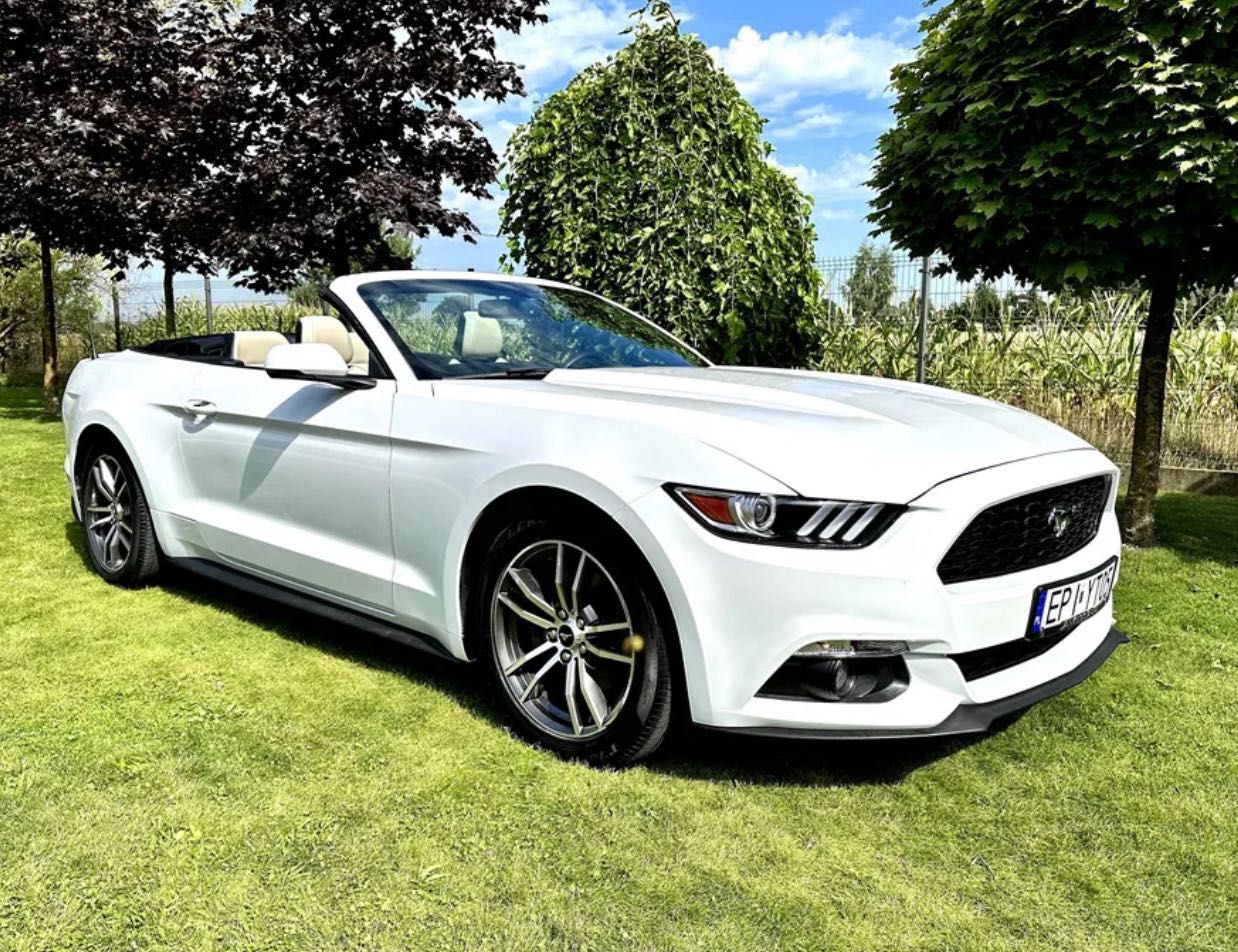 Mercedes A35 AMG cabrio Camaro Mustang wynajem wypożyczalnia BEZ KAUCJ
