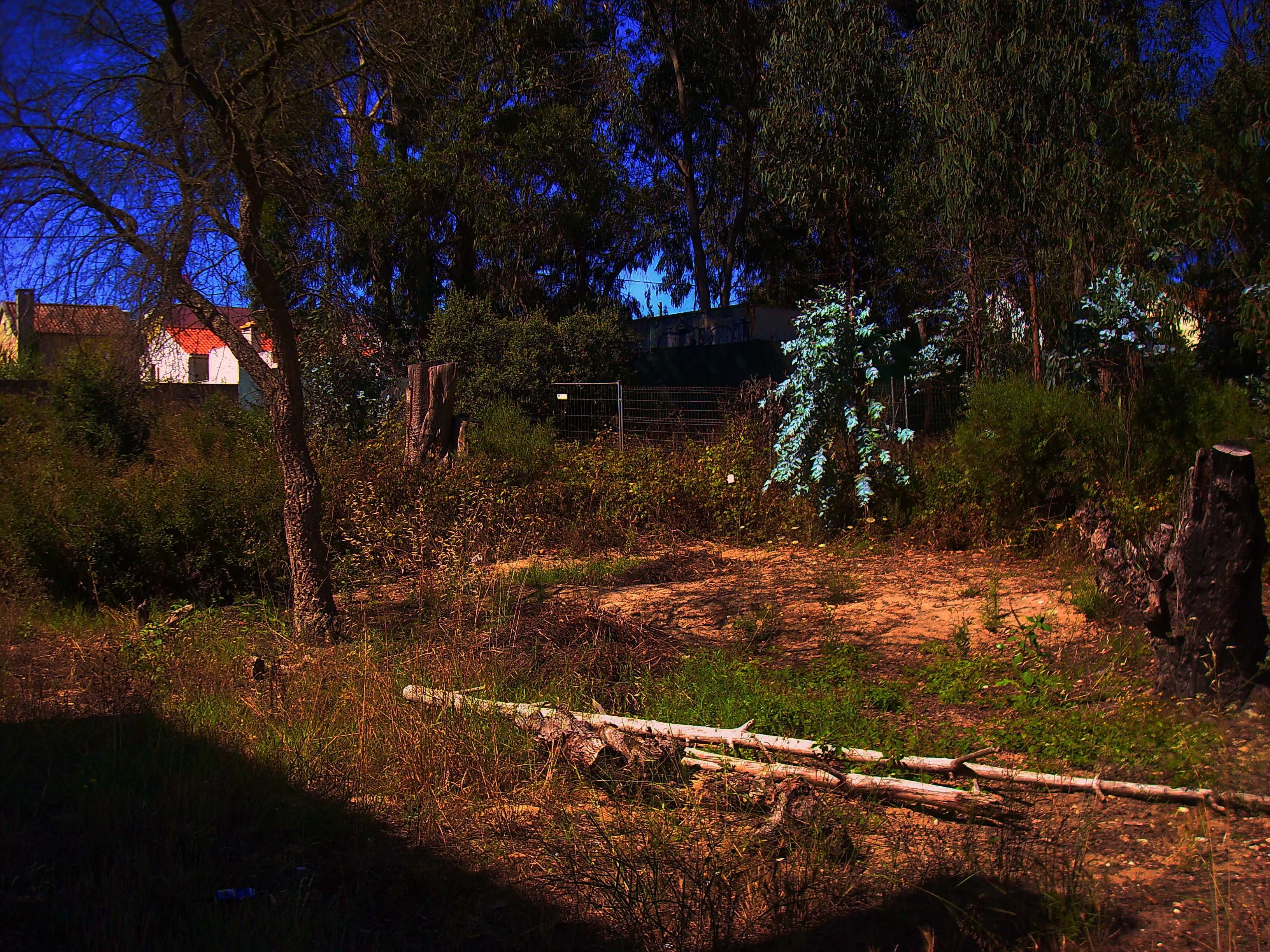 Oportunidade Única!
Terreno Exclusivo na Quinta da Aniza - Fase 3