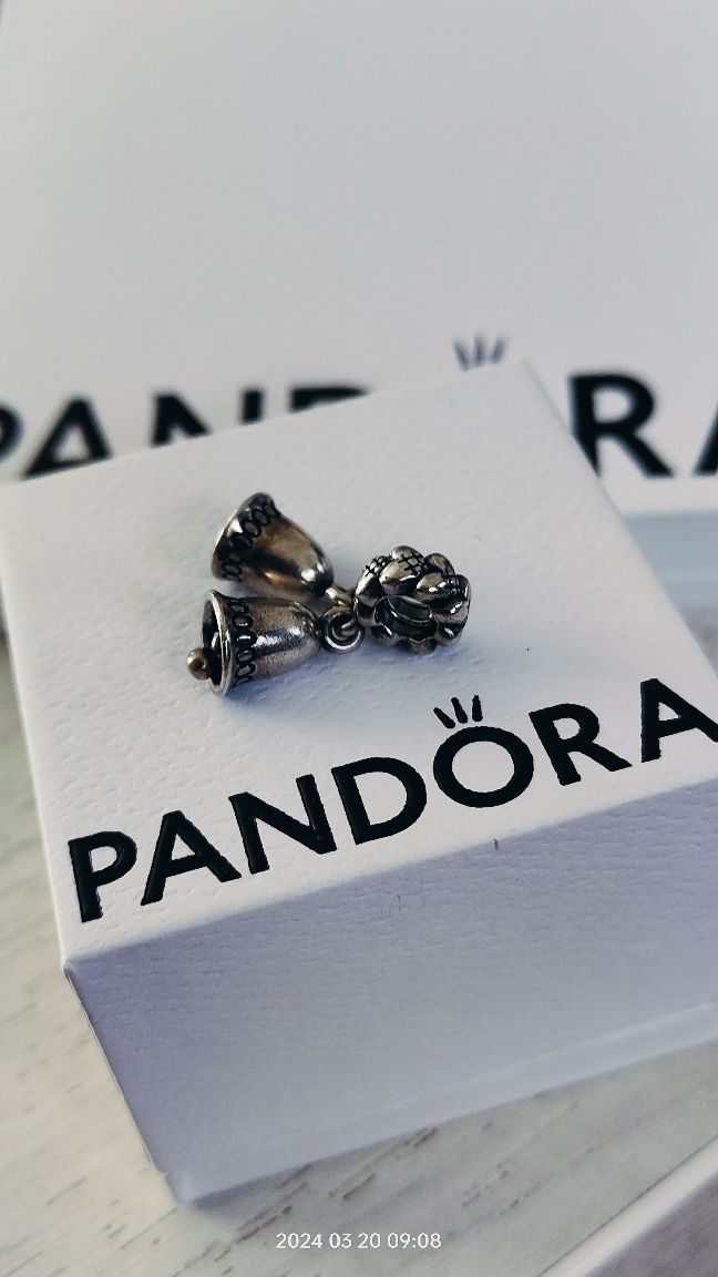 Pandora oryginalny charms