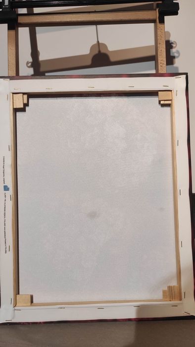 Obraz, nadruk na płótnie, zmrożone maliny, rozmiar 40x50