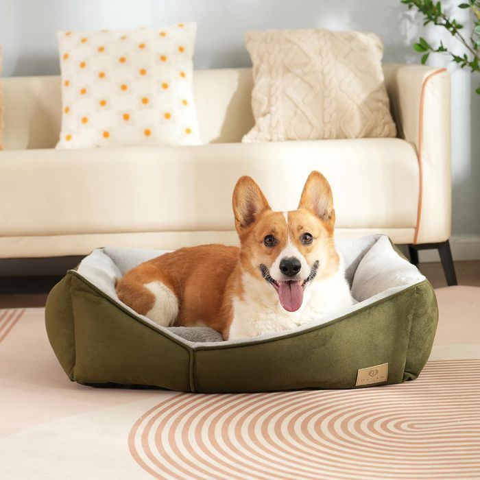Joy of Living Duże Legowisko dla Psa Wygodne Ciepłe 65 x 50 cm Zielone