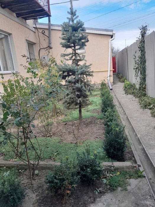 Оренда будинку для робітників в с. Княжичі Броварського району