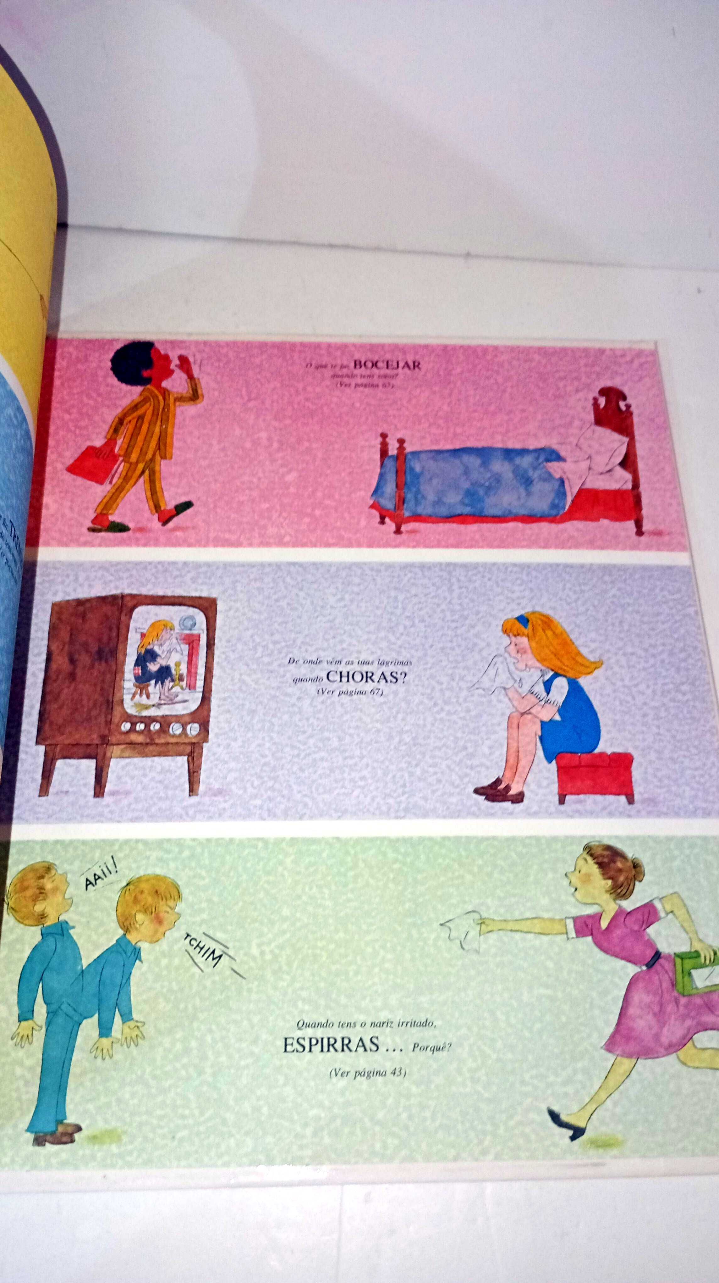 O Nosso Corpo - Livro de ouro da Verbo Infantil