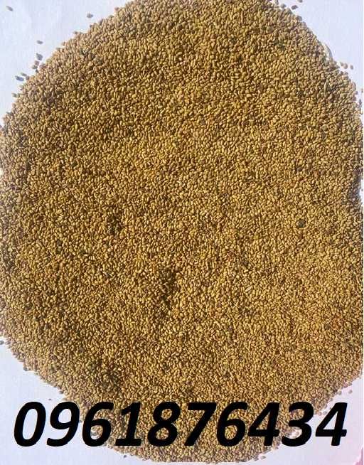 Продам семена люцерны