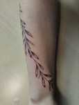 Шукаю моделей для тату (SOLOBAY_TATTOO)