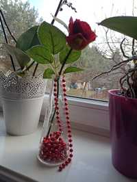 Czerwona ozdoba dekoracja kwiatek sztuczny wazon Ikea
