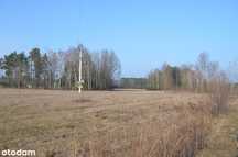 Działka budowlana Kąty-Wielgi, Tłuszcz/Strachówka