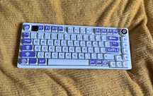Leobog Hi75
Akko V3 pro silver switches
PBT keycaps XDA profile