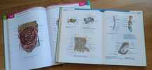 Atlas anatomii Sobotta 1-2 tomy