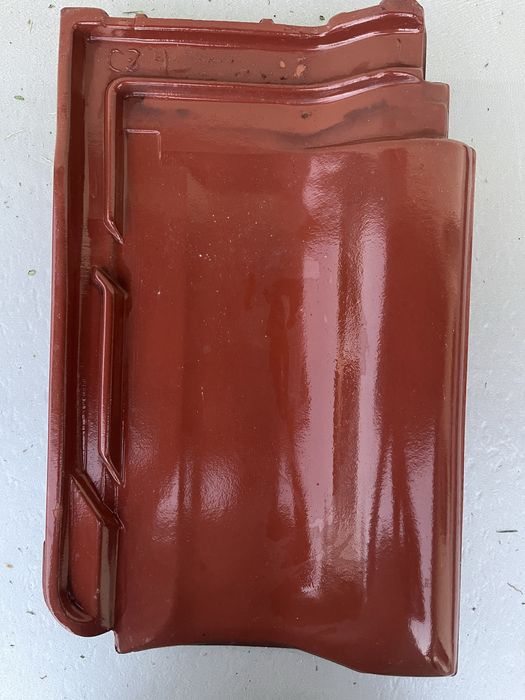 Dachowka Roben fleming