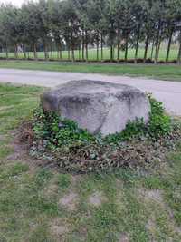 Duży kamień ozdobny ogrodowy