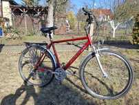 Rower Trekkingowy Arkus Romet 21
