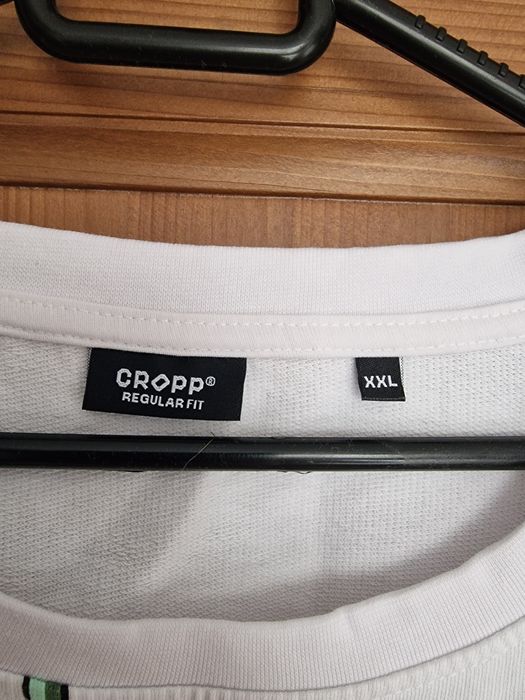 Bluza męska Croop