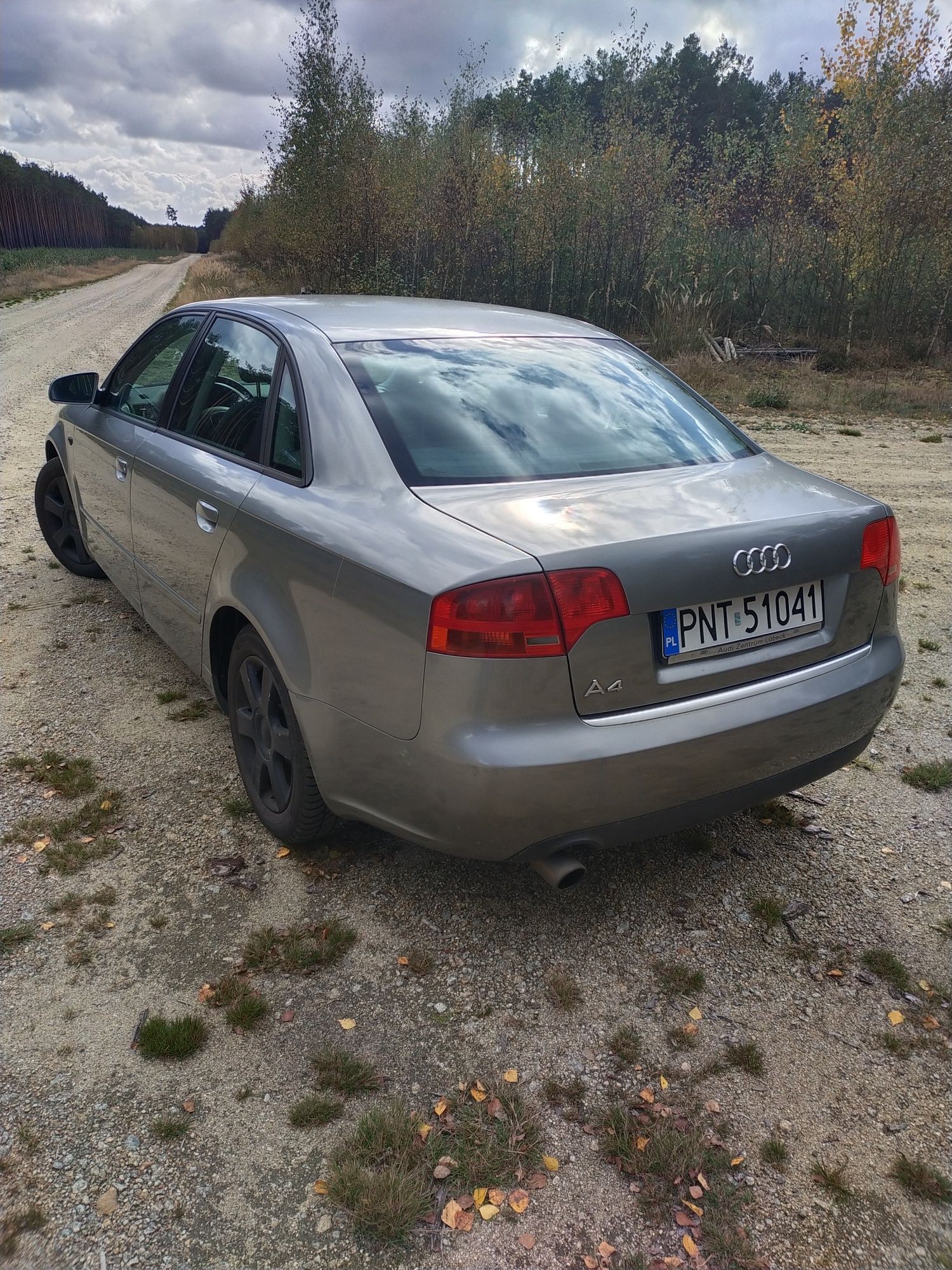 Audi A4 B7 1.6 benzyna plus gaz. Wsiadać  i jechać .