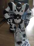 Robot sterowany pilotem