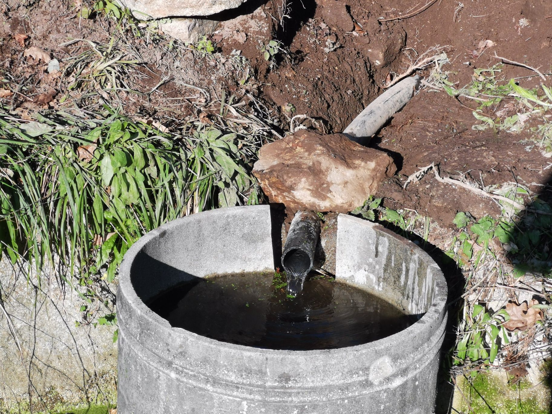 Terreno com água de nascente