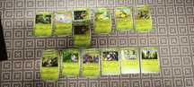 Cartas Pokémon TCG, Journey Together (JTG)
