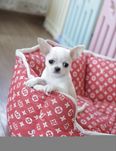 нереально красивій та милий хлопченя
