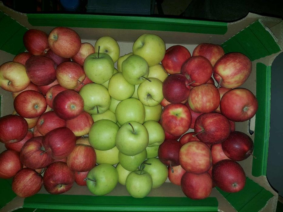 Jabłka 13 kg  35zl