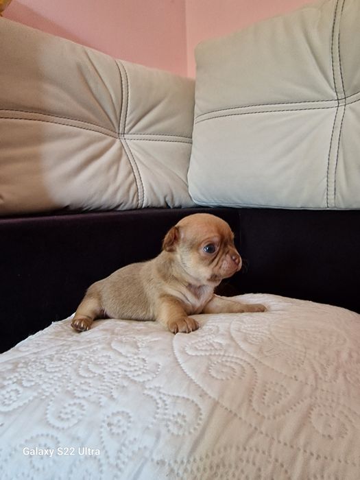 Продажу закінчено!