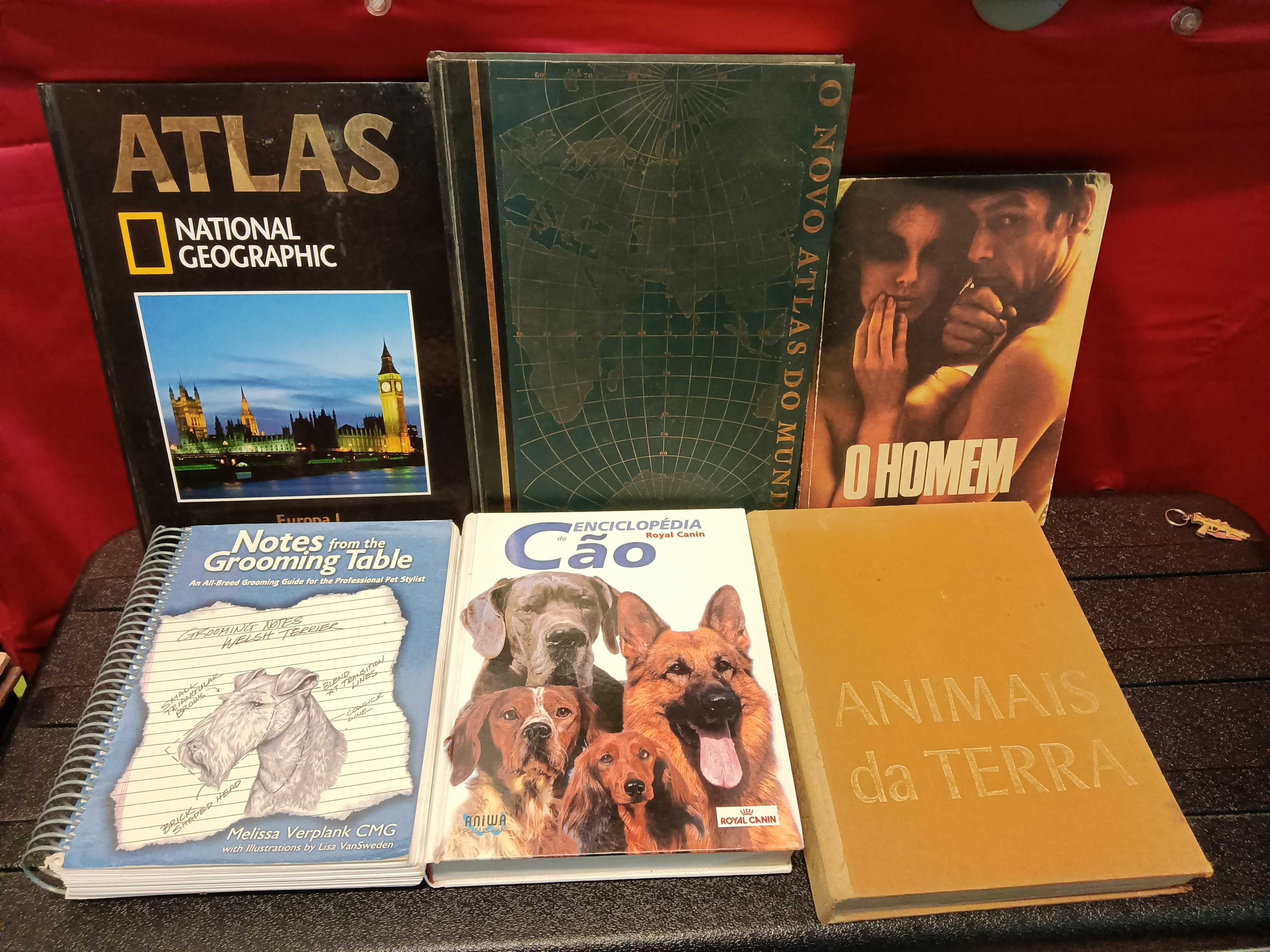 varios livros varios temas