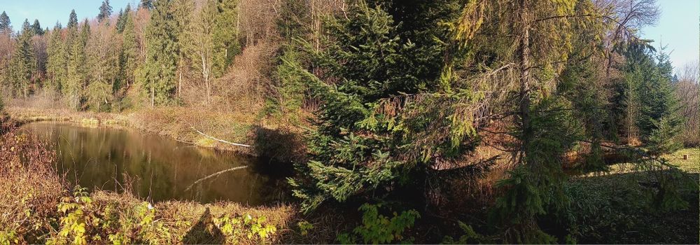 Продам будинок,в карпатах з озером,лісом навколо природа)