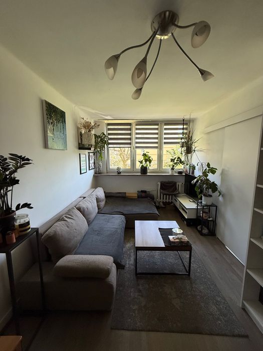 Mieszkanie PARTER, 3 pokoje