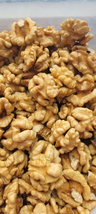 Грецький горіх 2025 року