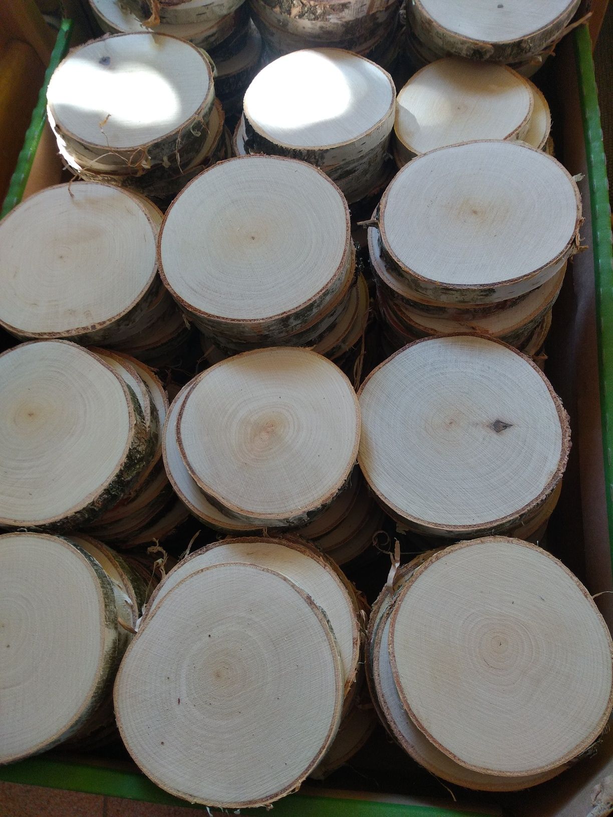 Plastry drewna brzozowego krążki śr ok 10 cm szlif suche