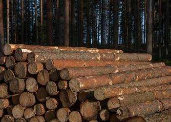 Drewno opałowe sosnowe -wałki 1.1m w Kaliszu