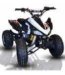 Pit.sport 125 cc