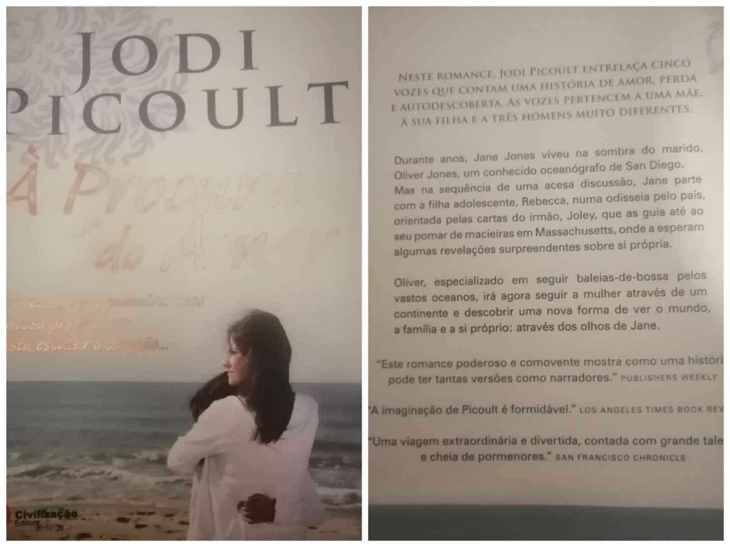 Livros Jodi Picoult