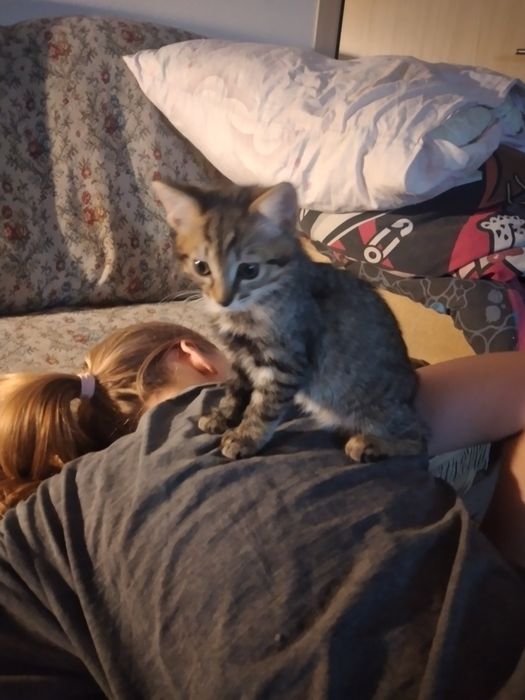 Віддам в гарні руки