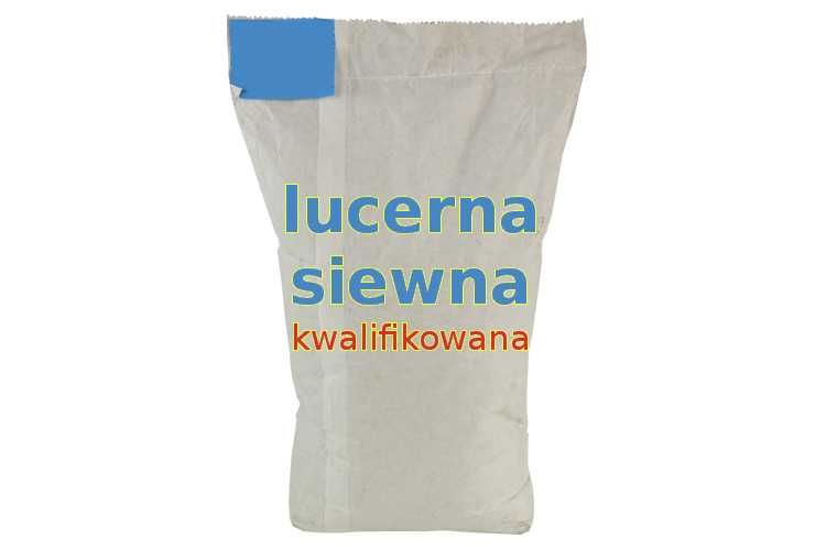 Lucerna Siewna NordicStar C/1 kwalifikowana 10kg trawa