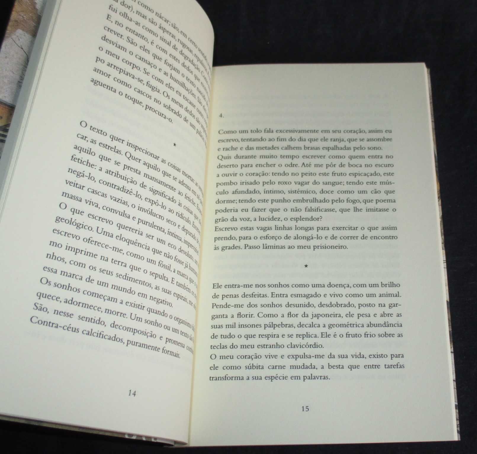 Livro Clavicórdio Andreia C. Faria