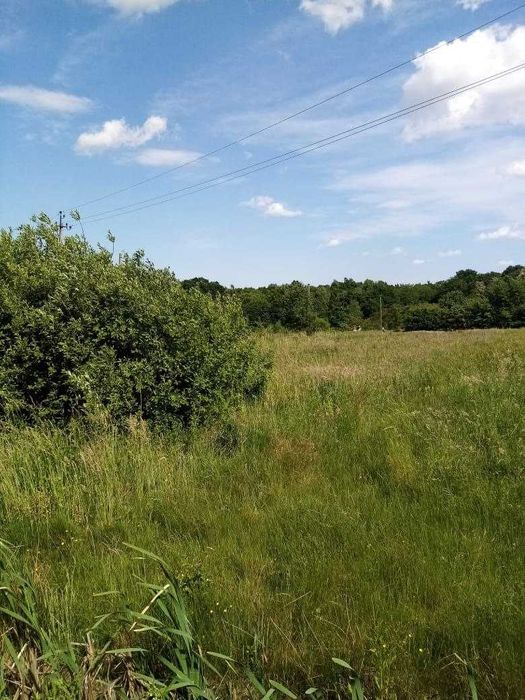 Продам земельну ділянку 12 км від міста_D