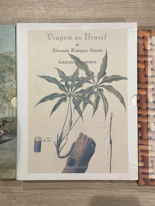 Coleção Viagens ao Brasil