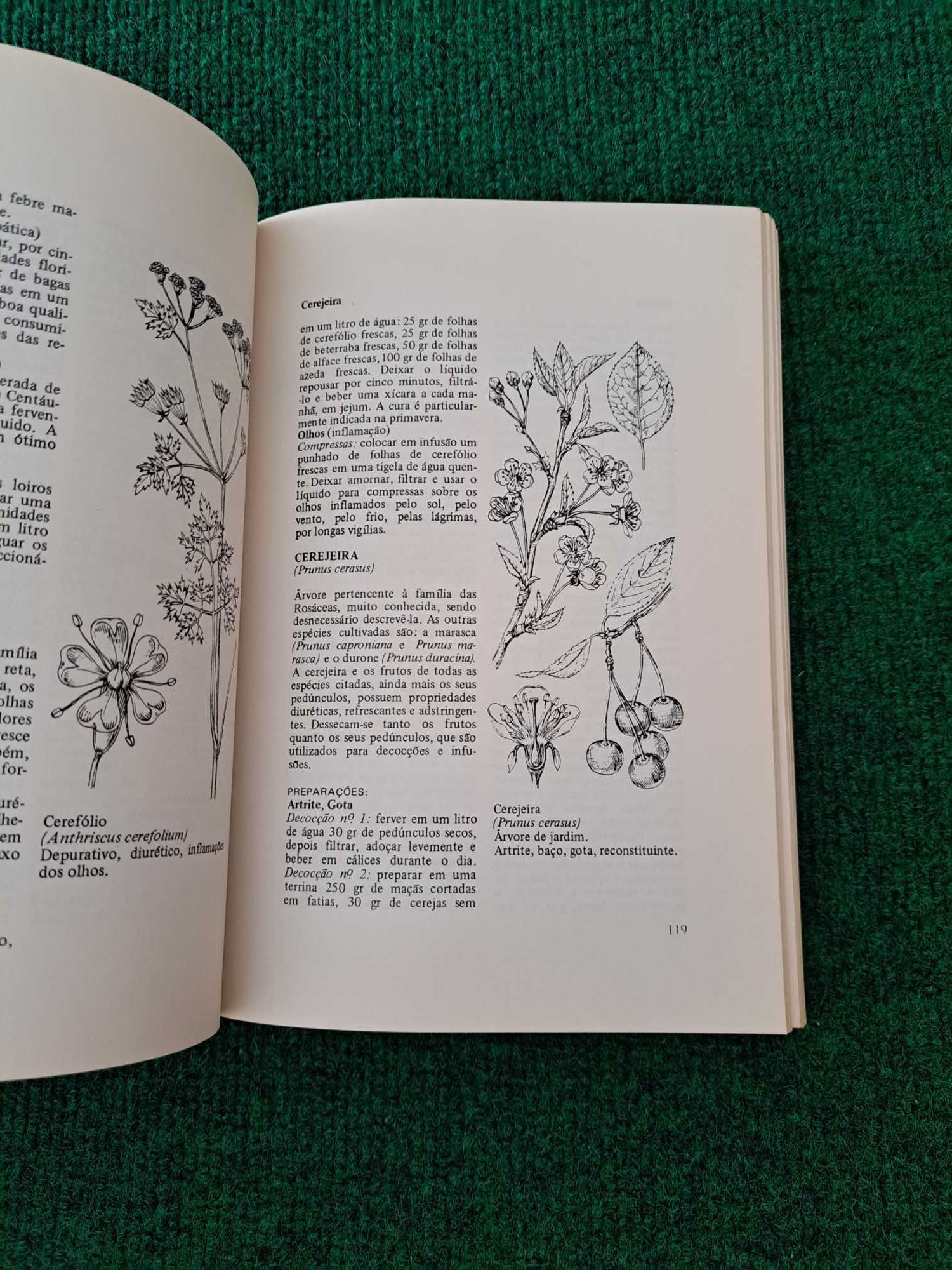 Plantas Medicinais - François Balmé
