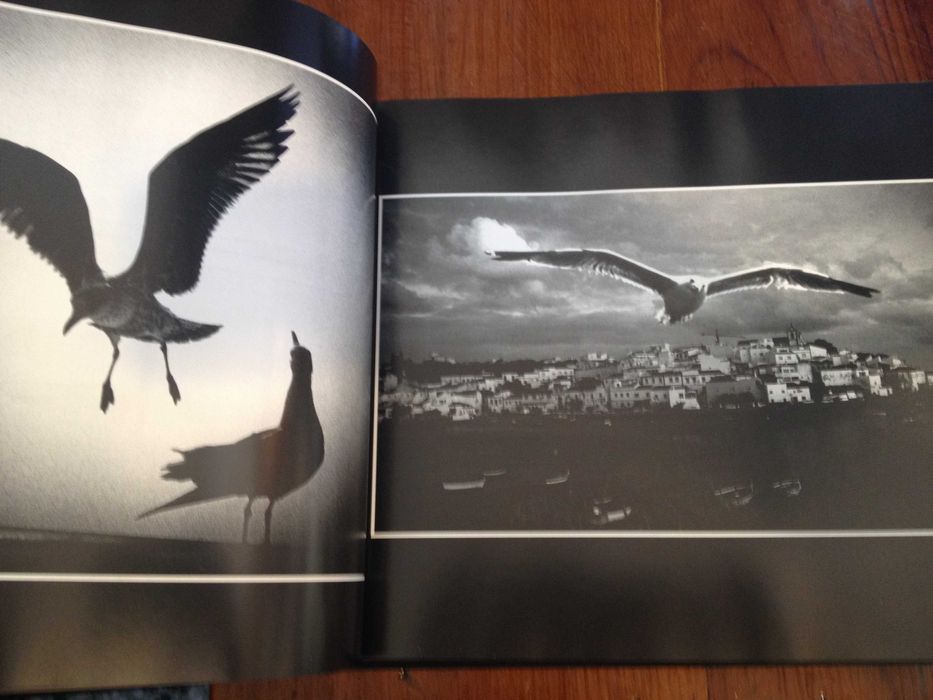 Conde Falcão e José Geraldo - D'aquém e d'além mar [autografado]