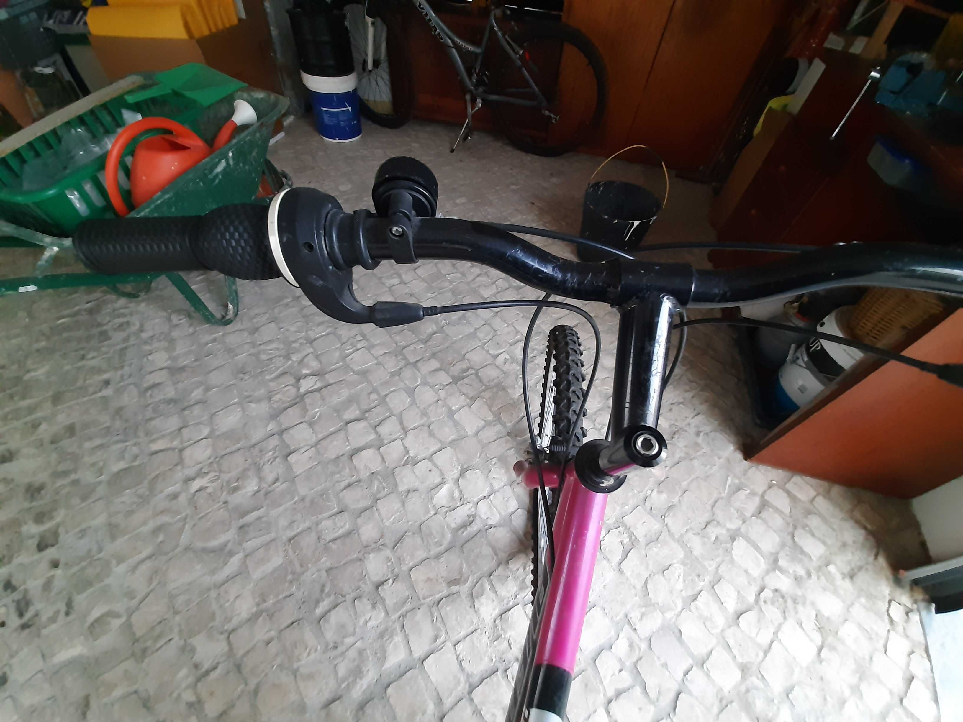 Bicicleta quadro feminino Wheel Worx