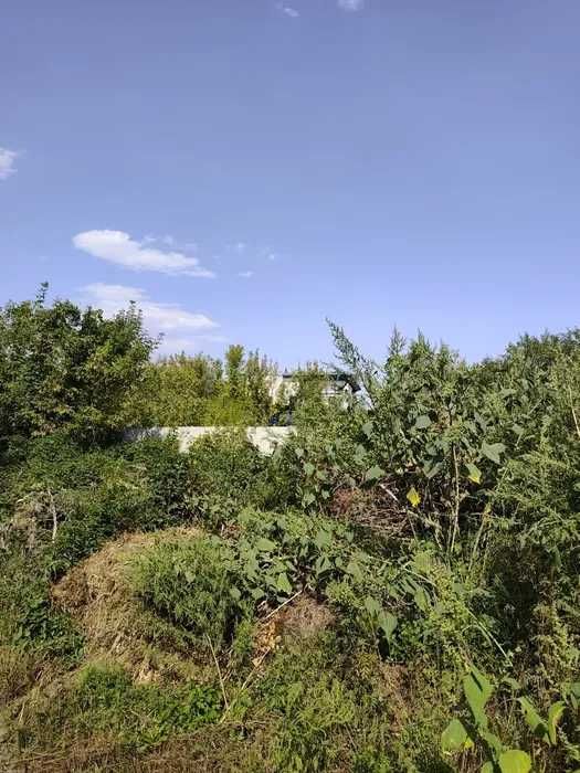 D1C Продам участок Большая Даниловка