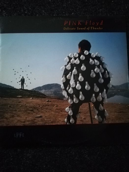 Pink Floyd vinil